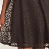 Black Lace Dresses - Ellen Parker Sleeveless A-line Lace Dress in Black